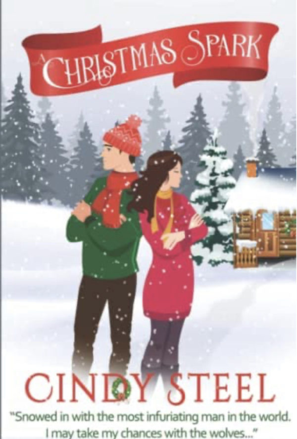 Christmas Romance Books 2022 | The Book Report